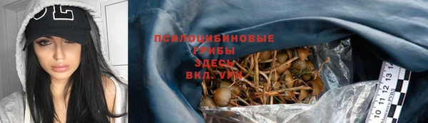 спиды Абинск